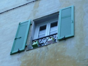 P1000113